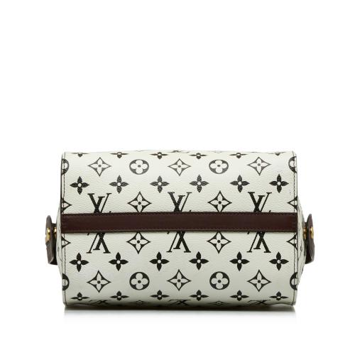 Louis Vuitton Monogram Speedy Amazon PM