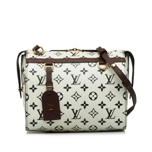 Louis Vuitton Monogram Speedy Amazon PM