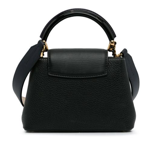 Louis Vuitton Taurillon Mini Capucines