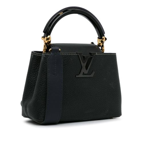 Louis Vuitton Taurillon Mini Capucines