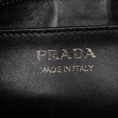 Prada Saffiano and City Calf Esplanade Crossbody