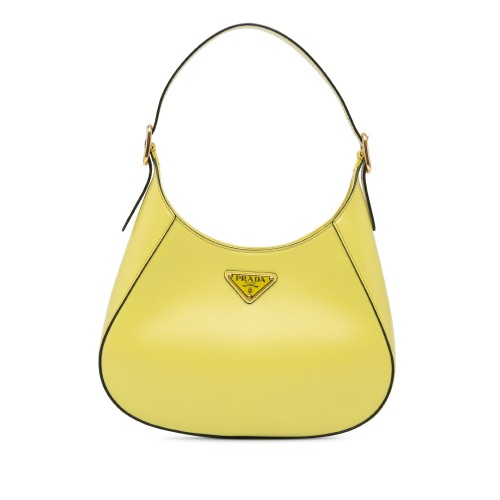 Prada Spazzolato Cleo Hobo Bag